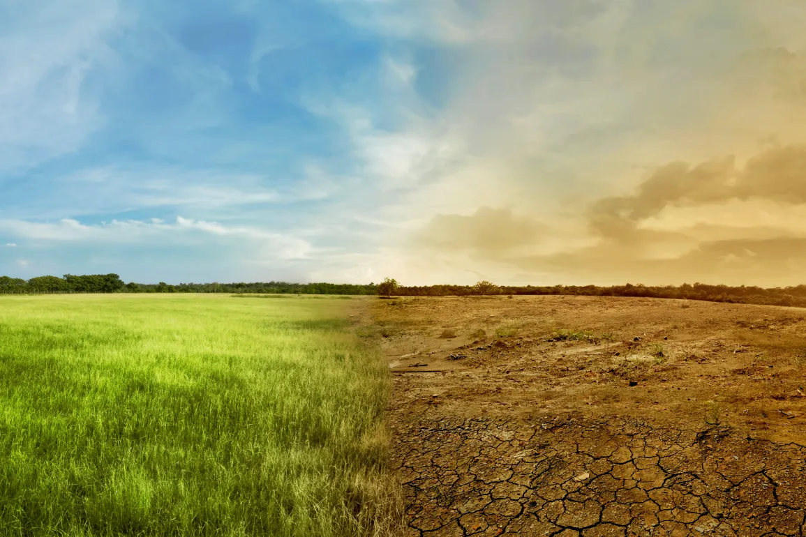 Environment and Climate Action
