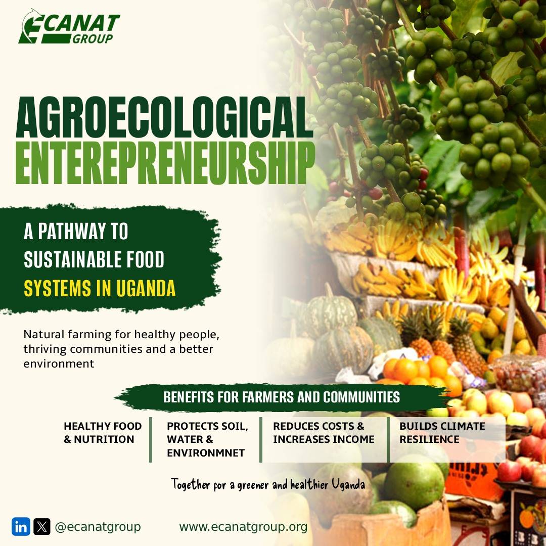 Agroecological Entrepreneurship – A Lead Way to Sustainable Food Systems