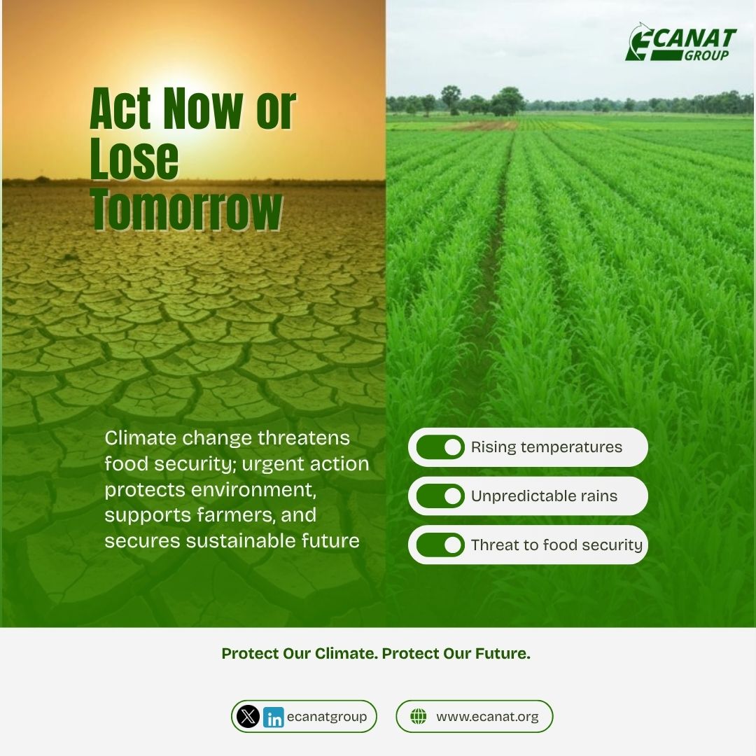 Climate Change Is Real. Act Now or Lose Tomorrow